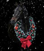 Prachtige rode kerstkrans, Dieren en Toebehoren, Ophalen of Verzenden, Zo goed als nieuw