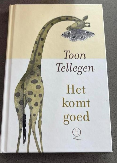 Toon Tellegen - Het komt goed, Boeken, Overige Boeken, Zo goed als nieuw, Ophalen of Verzenden