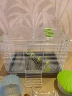 Hamsterkooi, Dieren en Toebehoren, Ophalen