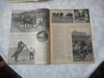 Paardensport. Een Haagsche sport. 1936., Verzamelen, Tijdschriften, Kranten en Knipsels, Nederland, Knipsel(s), 1920 tot 1940