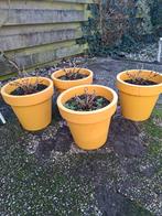 4 potten met hortensia's, Tuin en Terras, Bloempotten, Rond, Minder dan 40 cm, Aardewerk, Ophalen