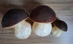 Herfst decoratie set paddestoelen 🍁🍄‍🟫, Ophalen of Verzenden