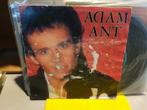 Adam Ant - Puss 'n Boots (r1), Ophalen of Verzenden, Pop