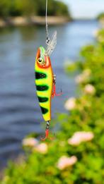 The ErnieCC 6” custom gespoten en UV treble #1 afgehaakt, Haak, Purmerend, Maimarcrankbaits, Nieuw