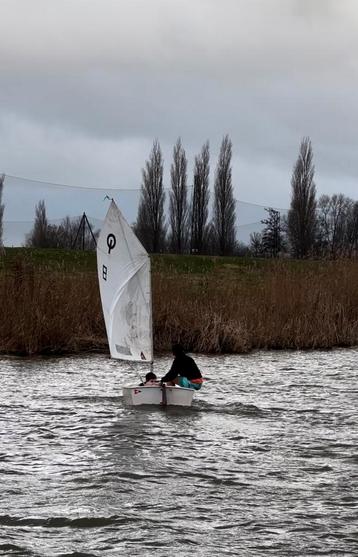  Optimist bootje te koop, inclusief afdekzeil beschikbaar voor biedingen