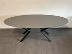 Ovale eettafel Fenix Beige Colostrai 200x100, 100 tot 150 cm, 200 cm of meer, Ophalen of Verzenden, Zo goed als nieuw