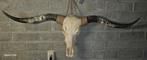 Longhorn schedel 133cm - Compleet met tanden!, Ophalen of Verzenden