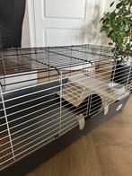 Ferplast konijn/cavia kooi voor binnen., Kooi, 110 cm of meer, Konijn, Ophalen