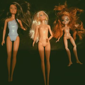 Barbies  beschikbaar voor biedingen