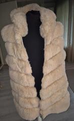 Schitterende zachte teddy boywarmer m/l, Kleding | Dames, Bodywarmers, Ophalen of Verzenden, Zo goed als nieuw, Bruin