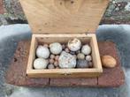 houten kistje met ongeveer 35 klei en steengoed knikkers, Ophalen of Verzenden