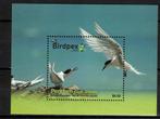 penrhyn 2022 pf blok sterns vogels birds zeevogels, Ophalen of Verzenden, Postfris, Dier of Natuur