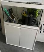 Aquarium Aquatlantis Volga 125, Ophalen, Gebruikt, Overige typen