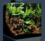 Nano Cube aquarium 30 liter 30 x 30 x 35cm, Dieren en Toebehoren, Vissen | Aquaria en Toebehoren, Ophalen, Zo goed als nieuw, Leeg aquarium
