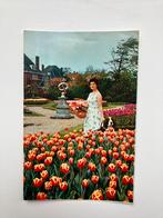 Ansichtkaart Hillegom, a.j. Van engelen nv, Verzamelen, Ophalen of Verzenden