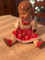 Schildkrot pop met certificaat, Ophalen of Verzenden, Zo goed als nieuw, Pop