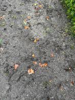 Gratis grond 6-8m3, Tuin en Terras, Ophalen, Tuinaarde