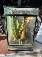 terrarium glas, Dieren en Toebehoren, Reptielen en Amfibieën | Toebehoren, Ophalen, Gebruikt, Terrarium of Paludarium