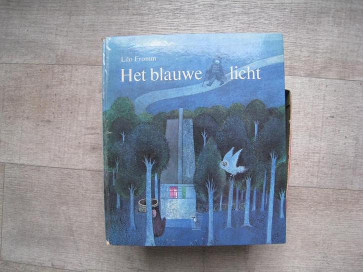 Het blauwe licht van Lilo Fromm, Boeken, Kinderboeken | Jeugd | 10 tot 12 jaar, Gelezen, Ophalen of Verzenden