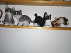 vier mooie katten ter decoratie, Ophalen of Verzenden
