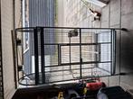 Nieuwe papegaaienkooi, Dieren en Toebehoren, Vogels | Hokken en Kooien, Ophalen, Zo goed als nieuw, Metaal, Vogelkooi