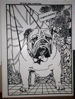 engelse bulldog kleurplaat / poster / tekening in 1 koop, Verzamelen, Ophalen, Gebruikt, Hond of Kat, Beeldje of Figuurtje