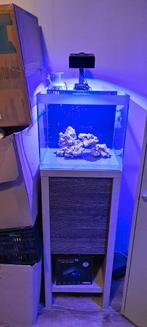 Fluval aquarium evt met techniek, Ophalen, Leeg aquarium