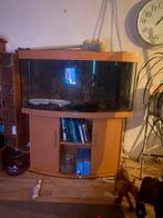 Aquarium, Ophalen of Verzenden, Zo goed als nieuw, Leeg aquarium