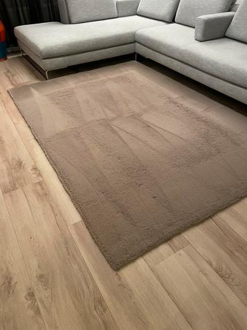 Vloerkleed taupe 160x230 beschikbaar voor biedingen