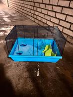 Hamster kooi, Dieren en Toebehoren, Knaagdieren en Konijnen | Hokken en Kooien, Kooi, Gebruikt, Minder dan 75 cm, Hamster