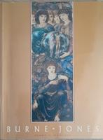 Burne-Jones - Debra N. Mancoff, Gelezen, Debra N. Mancoff, Ophalen of Verzenden, Schilder- en Tekenkunst