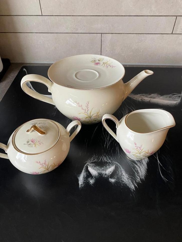 Royal Egerthal Bavaria servies, Antiek en Kunst, Antiek | Servies compleet, Ophalen