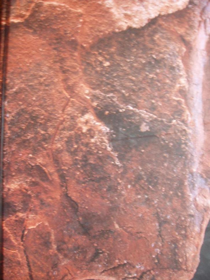 Jitse Sikkema: beelden. J Bruintjes e.a., Boeken, Kunst en Cultuur | Beeldend, Zo goed als nieuw, Beeldhouwkunst, Ophalen of Verzenden