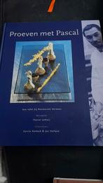 C. Verkerk - Proeven met Pascal, Ophalen of Verzenden, Zo goed als nieuw, C. Verkerk; J. Verlaan