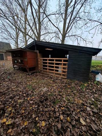 OP ZOEK NAAR RUIMTE VOOR KONIJNEN beschikbaar voor biedingen