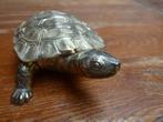 Metalen doos, schildpad, Antiek en Kunst, Ophalen of Verzenden