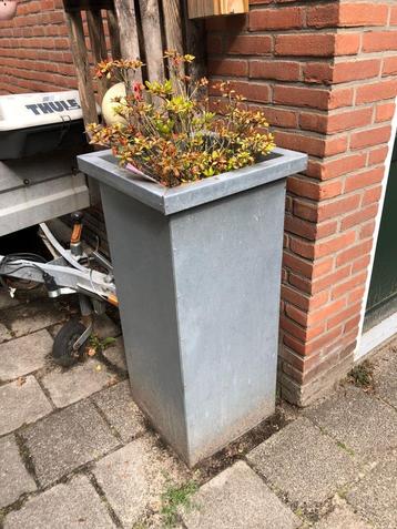 Bloembak  beschikbaar voor biedingen