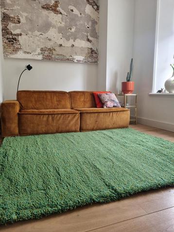 Splinternieuw Brink & Campman Groen 200 x 230 cm €100!!! beschikbaar voor biedingen