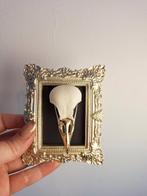 Schedel van kauw in gouden lijstje, Verzamelen, Dierenverzamelingen, Ophalen of Verzenden, Nieuw, Vogel, Schedel