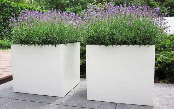 Setje vierkante plantenbakken, Tuin en Terras, Bloembakken en Plantenbakken, Nieuw, Overige materialen, 60 cm of meer, Vierkant