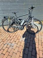 Elektrische fiets Hercules, Gebruikt, 51 tot 55 cm, 50 km per accu of meer, Ophalen