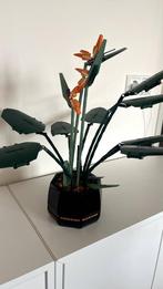 Lego Botanical Paradijsvogelplant 10289, Ophalen of Verzenden, Zo goed als nieuw, Complete set, Lego