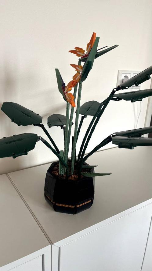 Lego Botanical Paradijsvogelplant 10289, Kinderen en Baby's, Speelgoed | Duplo en Lego, Zo goed als nieuw, Lego, Complete set