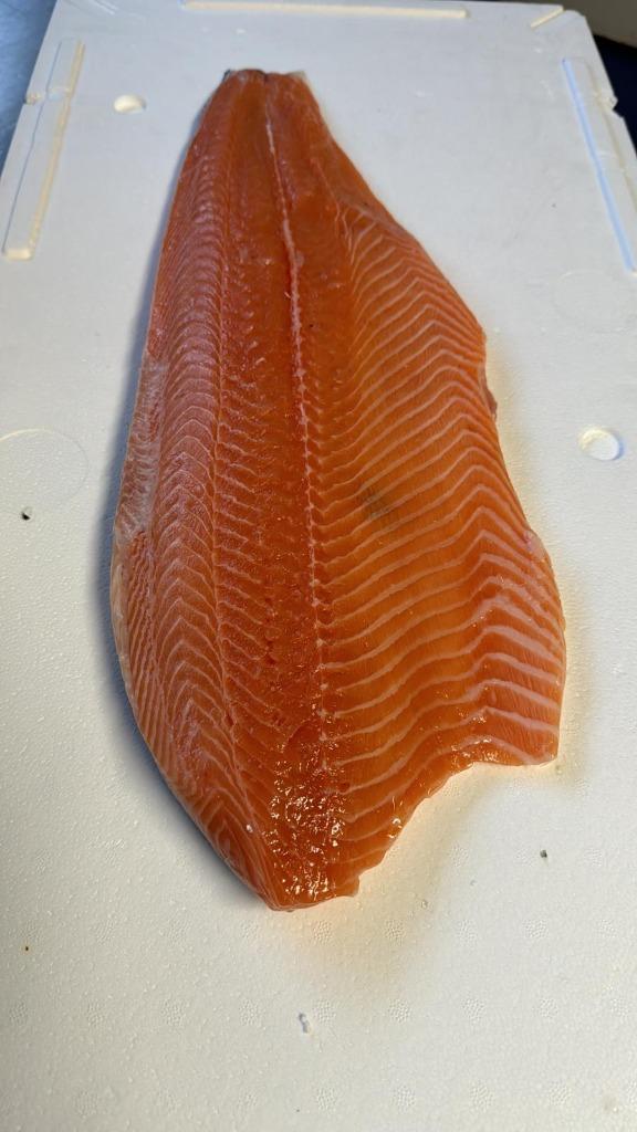 heerlijke verse zalm forrel, Diversen, Levensmiddelen, Ophalen