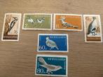 Bulgarije, Ophalen of Verzenden, Postfris, Dier of Natuur