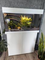 Juwel Rio 125 liter, Dieren en Toebehoren, Vissen | Aquaria en Toebehoren, Ophalen, Zo goed als nieuw, Leeg aquarium