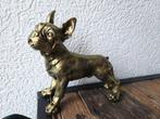 Handbewerkt Frans Bulldog Beeld Inca Goud, Ophalen of Verzenden, Nieuw