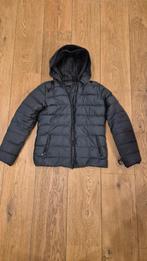 Scotch & Soda Donsjas Dames Maat S - Zwart, Scotch and Soda, Zwart, Ophalen of Verzenden, Zo goed als nieuw