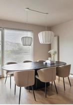 Eleonora Eettafel Aron 250 x 110 te koop, Huis en Inrichting, Tafels | Eettafels, Ophalen, 100 tot 150 cm, 200 cm of meer, Zo goed als nieuw