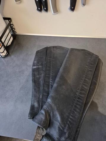 Ariat chaps - brede kuit beschikbaar voor biedingen